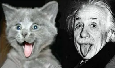 Finalement si vous appliquez toutes ces résolutions gagnantes vous apporterez...