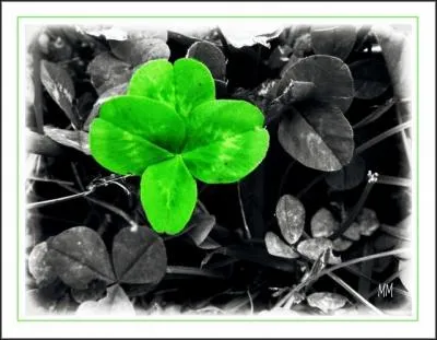 Pour l'instant vous avez su répondre à tout !