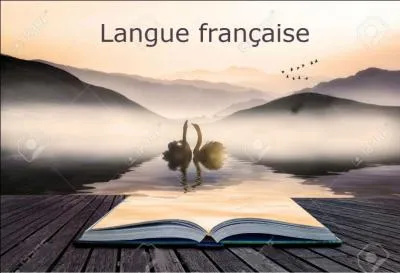 Si je vous dis "Tout est plus clair" ! Comment analysez-vous "tout" ?