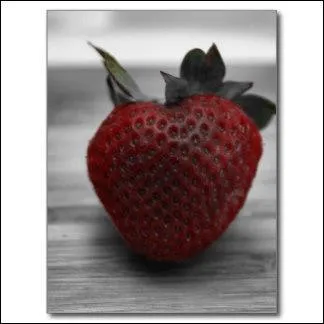 Sur le forum, j'essaie de vous parler, mais vous ramenez sans arrêt votre fraise ! Cessez de m'interrompre...