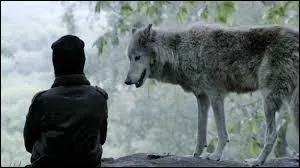 Qui a obtenu le NRJ Music Awards de la Révélation Française de l'Année grâce à sa chanson "Homeless" ?