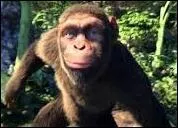 Dans le clip de quelle chanson de Coldplay peut-on voir des singes chanter et danser ?