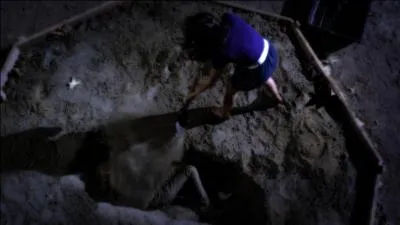 Qui a tu&eacute; Bethany ?