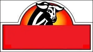 Quel est le nom de ce logo ?