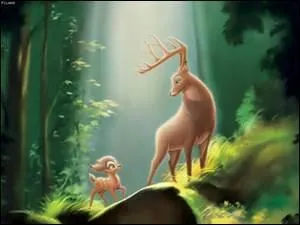 Quel est le titre de ce dessin anim&eacute; ?