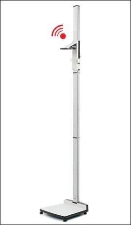 Quelle taille fait-il ?