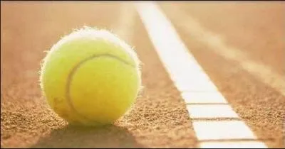 Combien de temps a duré le plus long point de tennis joué ?