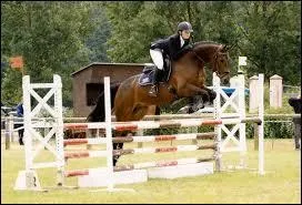 Quelle est cette discipline équestre ?