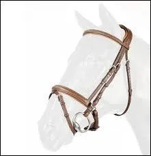 Quel est le nom de cet équipement ?