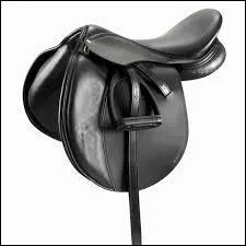 Quel est le nom de cet équipement ?