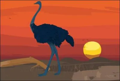 L'il d'une autruche est plus gros que son cerveau.
