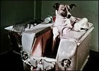 Juste avant Noël, en 1960, une nouvelle mission fut lancée, puis interrompue car la fusée ne fonctionnait pas correctement. Quels animaux pouvait-on y trouver ?