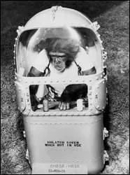 En 1961, le singe Chang a survécu à la mission. Quel âge avait-il alors ?