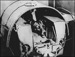 En janvier 1955, deux chiennes furent envoyées dans l'espace. Comment se nommaient-elles ?