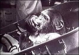 Un an plus tard, deux singes étaient renvoyés dans l'espace : Able et Miss Baker. Lequel de ces deux singes est mort lorsqu'on lui a retiré une électrode dite infectée ?