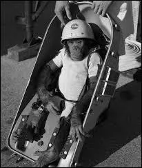 Le 2 juillet 1959, on alla jusqu'à envoyer deux singes et un lapin. L'un des singes se nommait Otvaznaya. À combien de voyages dans l'espace aura-t-elle participé ?