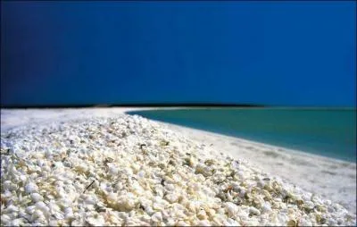 Quel est le sagouin qui laisse ses détritus sur cette plage d'Australie ?