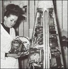 En 1963, un chat fut envoyé dans l'espace... Mais il est mort pendant le vol. Quel était son nom ?