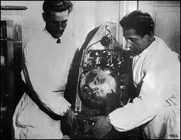 La petite Tchernouchka a participé à la mission Spoutnik 9. Avec lequel de ces animaux est-il parti ?