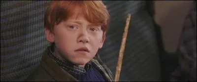 Ron rencontre Harry pour la première fois :