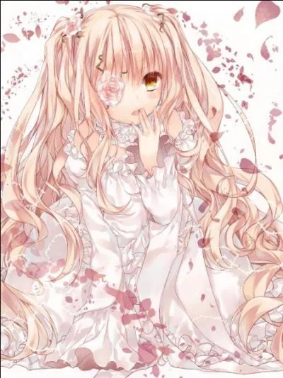 Quel est l'esprit artificel de Kirakishou ?