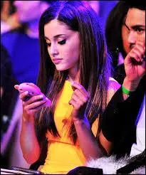 Quel est le genre des chansons d'Ariana ?