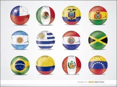 C'était la 44e édition de la Copa América.