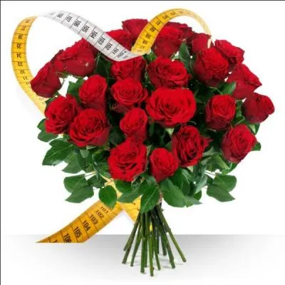 Quel est le métier qui correspond à l'image ?