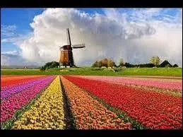 Aux Pays-Bas, combien y a-t-il de Crown Years ?