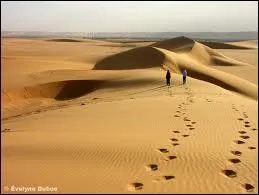 À quel âge est-il intelligent de fêter son anniversaire au Niger, si l'on est festif ?
