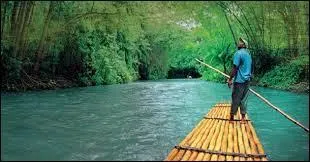 Dans lequel de ces pays fait-on traditionnellement la même chose que l'Allemagne ?