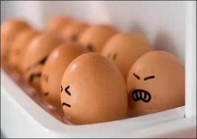 Les ufs cuits contiennent six fois plus de protéines que les ufs crus.