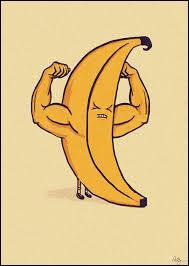 50 % de l'ADN humain est identique à celui de la banane.