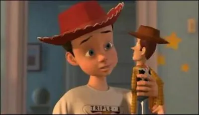 Comment le petit garçon se nomme-t-il dans Toy Story !