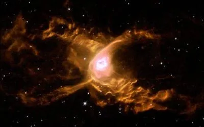 Encore un drôle d'animal dans le ciel ?