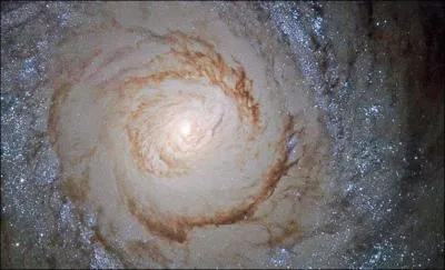 Dites "Bonjour, Messier 94 ! " Où peut-on trouver cette maternité (à étoile) ?