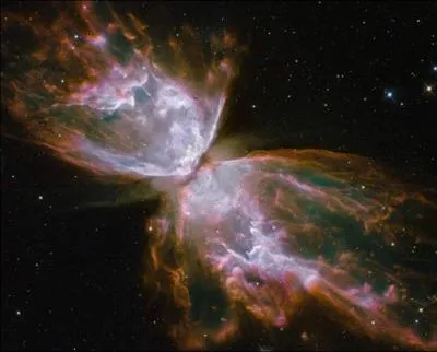 Qu'aurait-on pu dire, en observant ce spectacle ? (In english in the text, please ! )