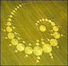 Comment est appelé ce vaste motif géométrique réalisé dans un champ de céréales ?