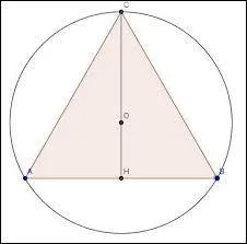 En géométrie, cercle qui passe par tous les sommets du polygone :