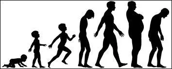 Quel âge avez-vous ?