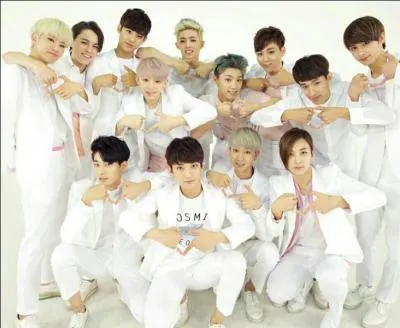 Les Seventeen ont débuté avec :