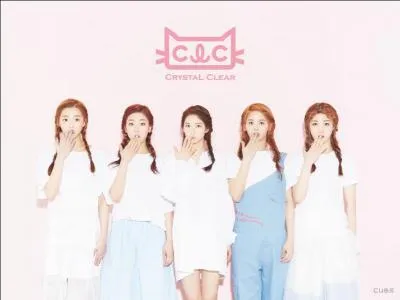 Les CLC ont débuté avec :