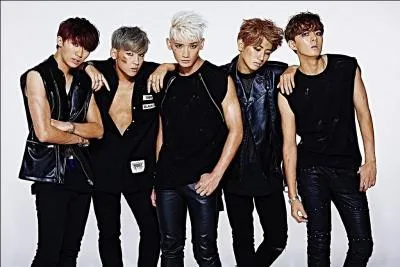 Les M.A.P6 ont débuté avec :