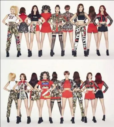 Les Twice ont débuté avec :