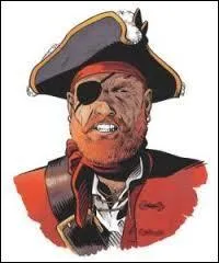 Flibustier, personnage de bd créé par Victor Hubinon (dessin) et Jean-Michel Charlier (scénario) :