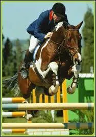 Une seule de ces races peut être de robe pie. Laquelle ?