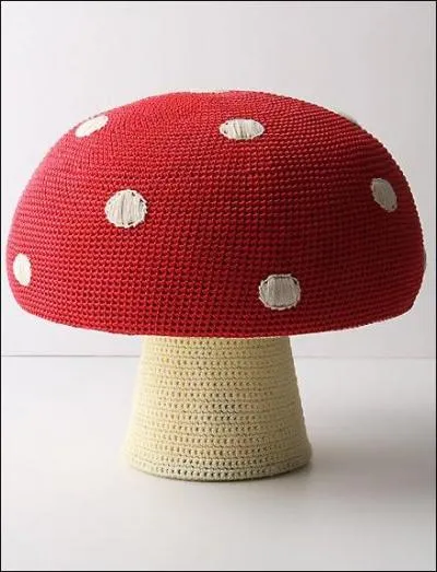 Après tout, ce champignon ressemble à un petit parachute, et avec un parachute qui donc a besoin d'ailes, d'une ou deux  ?