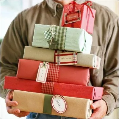 Ce n'est qu'une boîte, rien de plus, mais qui fait sa prétentieuse, avec de doubles
 ailes doubles, ou de doubles ailes simples  ?