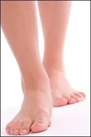 Comment les chat sauvages appellent-ils les hommes ?