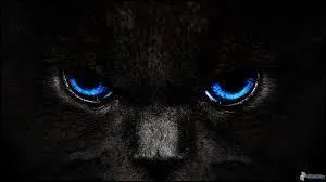 Qui est le chef du clan de la Rivière et qui est son lieutenant dans le cycle 1, livre 1 ?